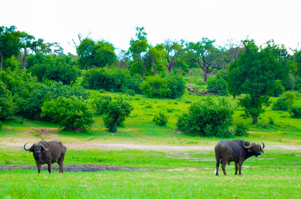 thailand national parks