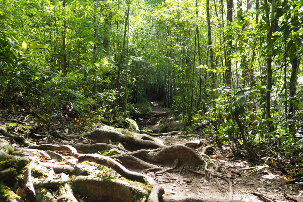 where to go hiking in thailand